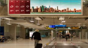 Interior de la tienda
